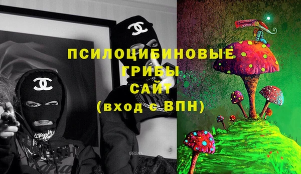 мяу мяу мука Бугульма